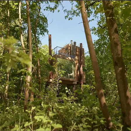 Luxury Treehouse Retreat 度假居