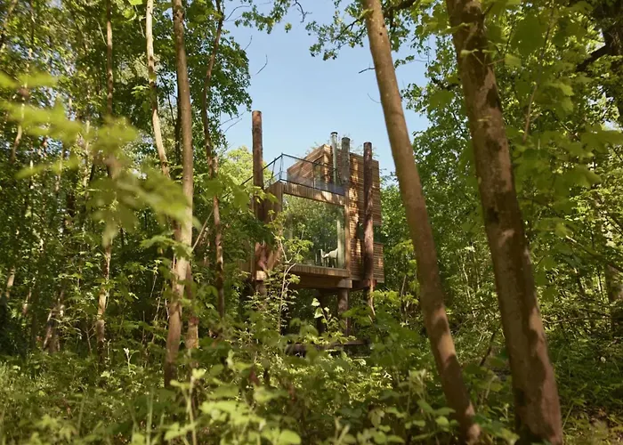 Luxury Treehouse Retreat Hébergement de vacances