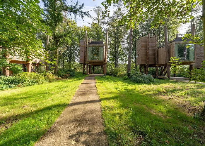 Hébergement de vacances Luxury Treehouse Retreat Antoing