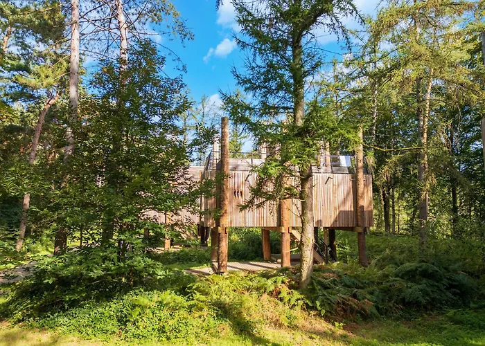 Luxury Treehouse Retreat Antoing