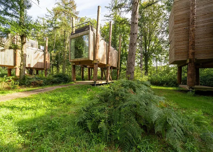 Hébergement de vacances Luxury Treehouse Retreat *
