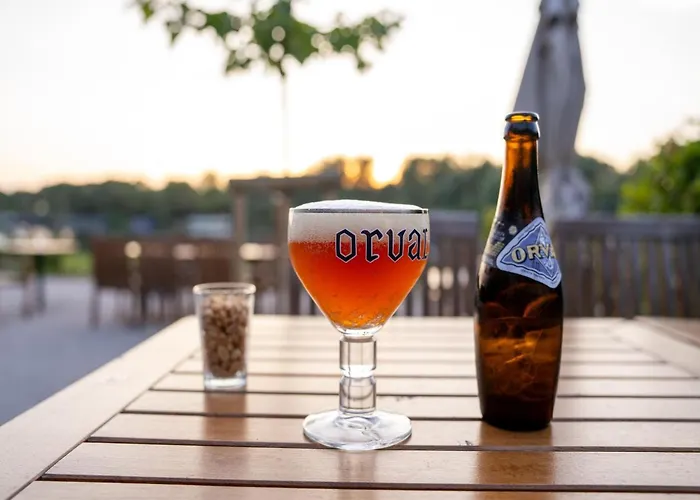 Luxury Treehouse Retreat