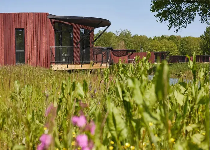 Hébergement de vacances Luxury Treehouse Retreat Antoing